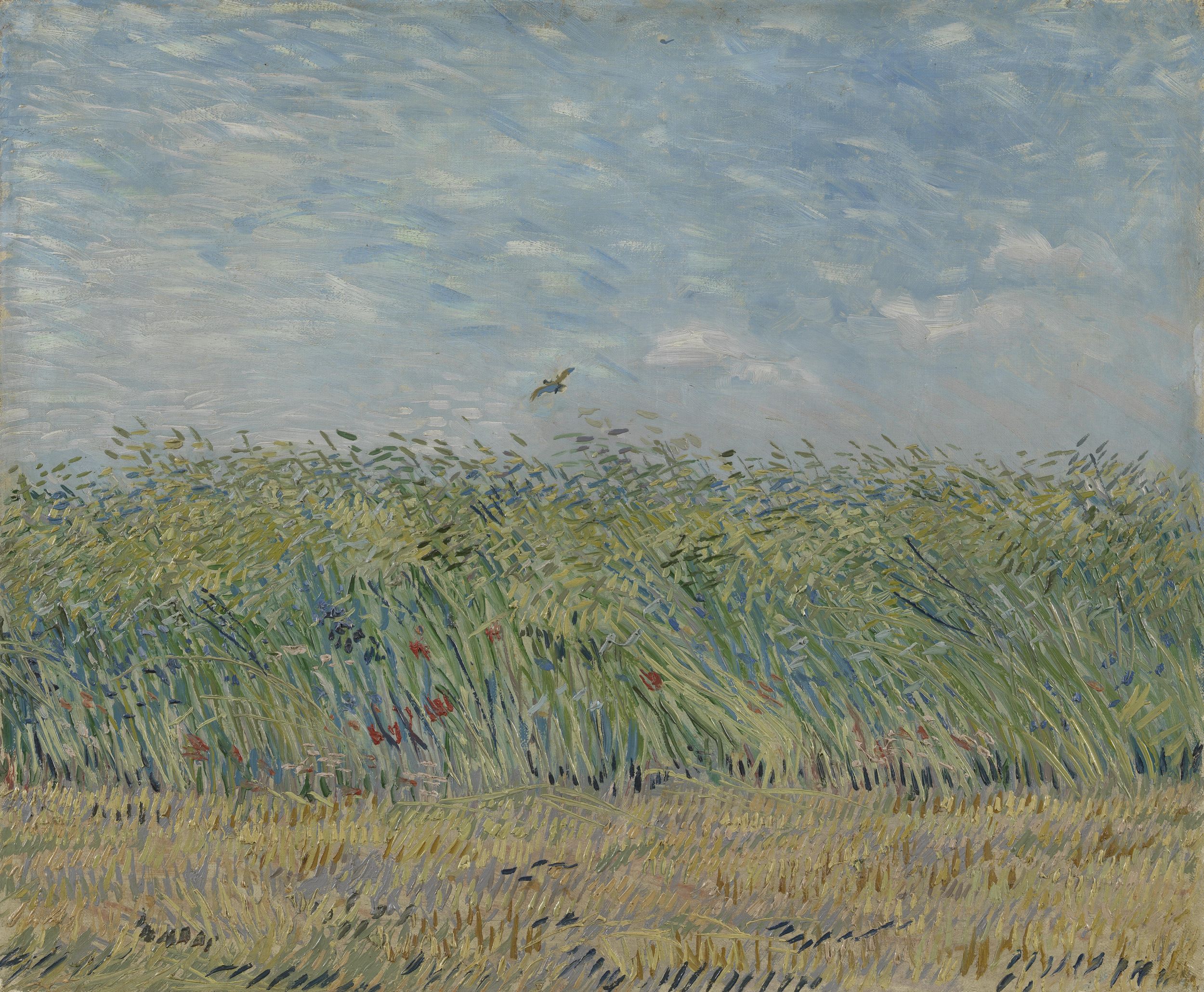 Картина Ван Гога Пшеничное поле с куропаткой 1887